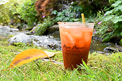 DAYLIGHT, DARK NIGHT AND BLUE SKIES WITH PAPA BUENO